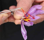 100% Premium & Pure Zaffran-500gm